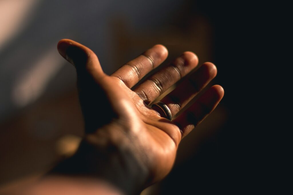 orva-studio-i6IQivGNFBU-unsplash